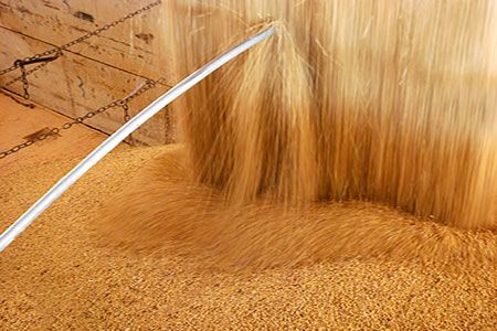 Ukraine grain outlook bolstered by trade disputes, reports Argus Media