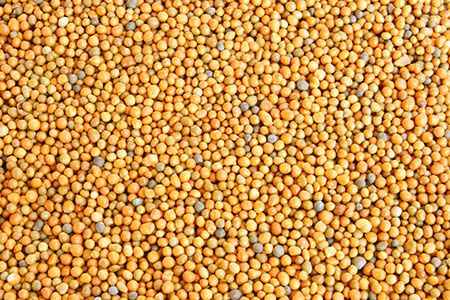 Pupuk Indonesia closes phosphate buy round