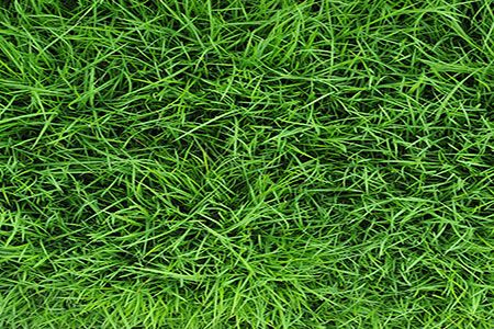 Nutrien Ag Solutions and Lindsay partner to improve agricultural water use efficiency