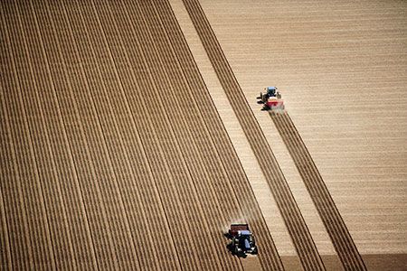GB & GM Stafford increase nitrogen usage