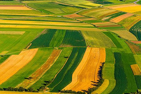Talitsky Project receives priority investment project status