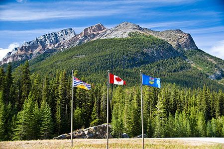 Canada Nickel and NetCarb advance sustainable fertilizers