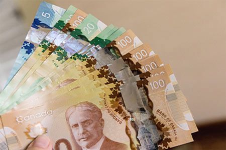Nutrien renews share repurchase programme