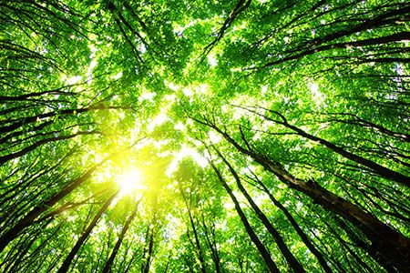 Koch’s nitrification inhibitor technology receives EPA approval