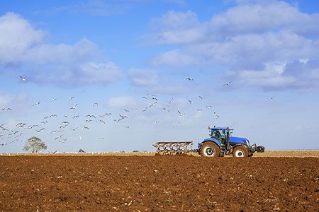 CF Industries and PepsiCo advance lower carbon agriculture