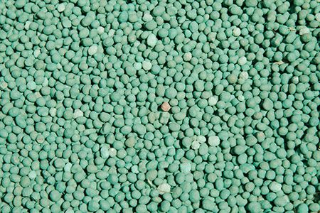 Switch Bioworks launches microbial fertilizer trial