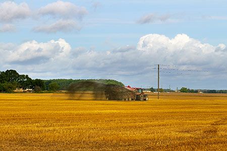 Pivot Bio increases production and lowers price of nitrogen fertilizer