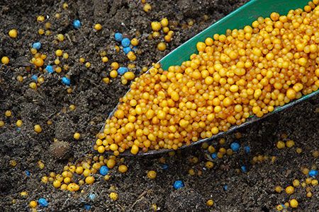 Indian Government to add 10 million t of domestic urea production