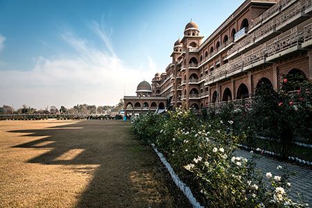 Pakistani SOP fertilizer imports predicted to decline