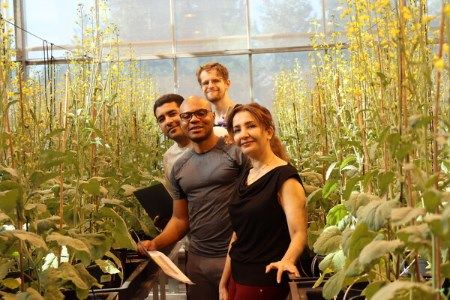 Lucent Bio delivers a boron fertilizer breakthrough for climate-smart crop production