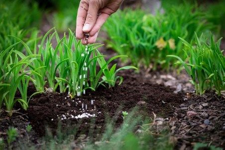 EU imports €900 million of phosphorous from Russia